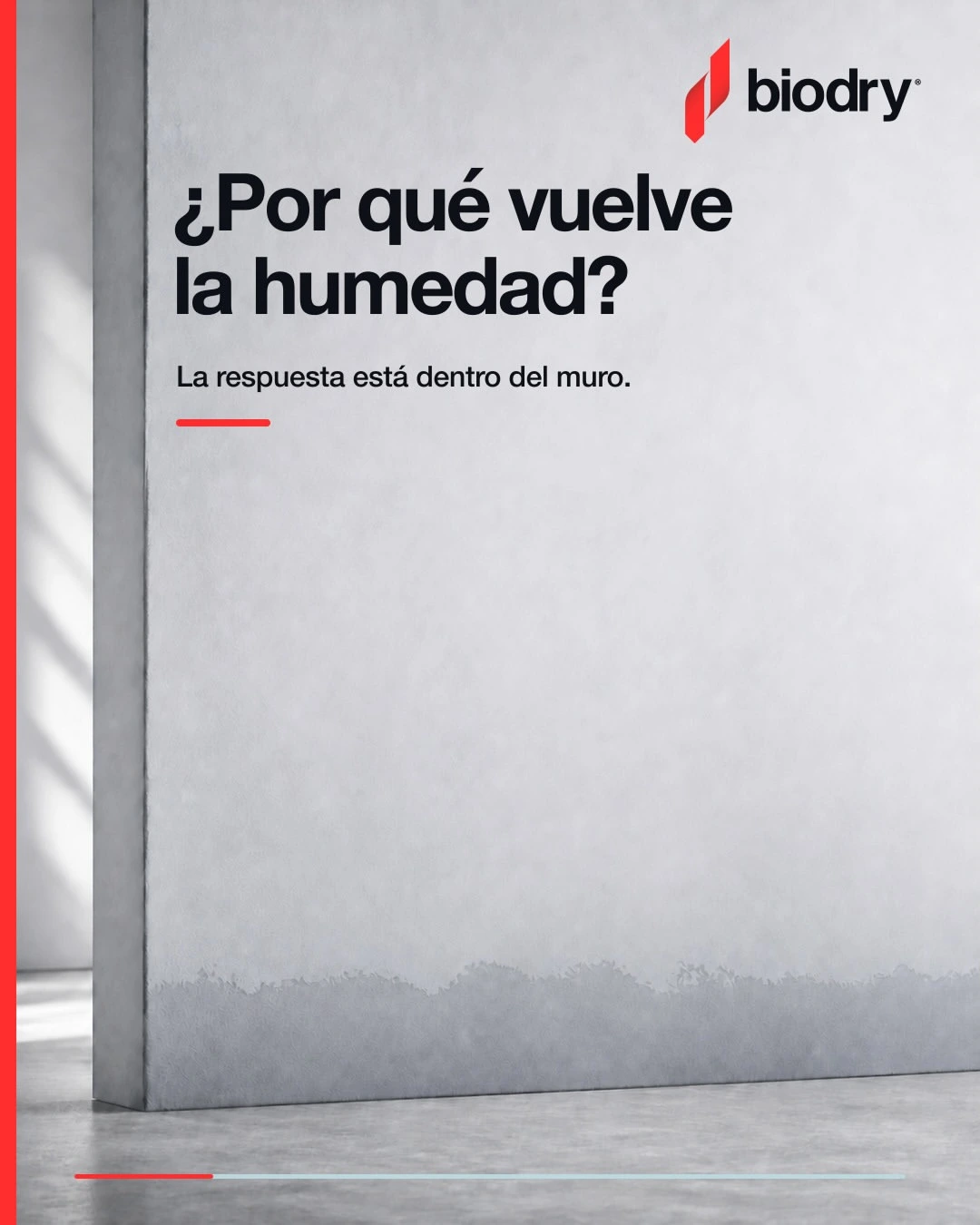 ¿Por qué vuelve la humedad?